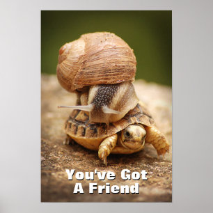 Poster Snail Riding Baby Tortoise