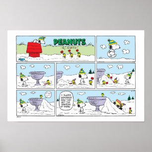 Poster Snoopy & A Equipe
