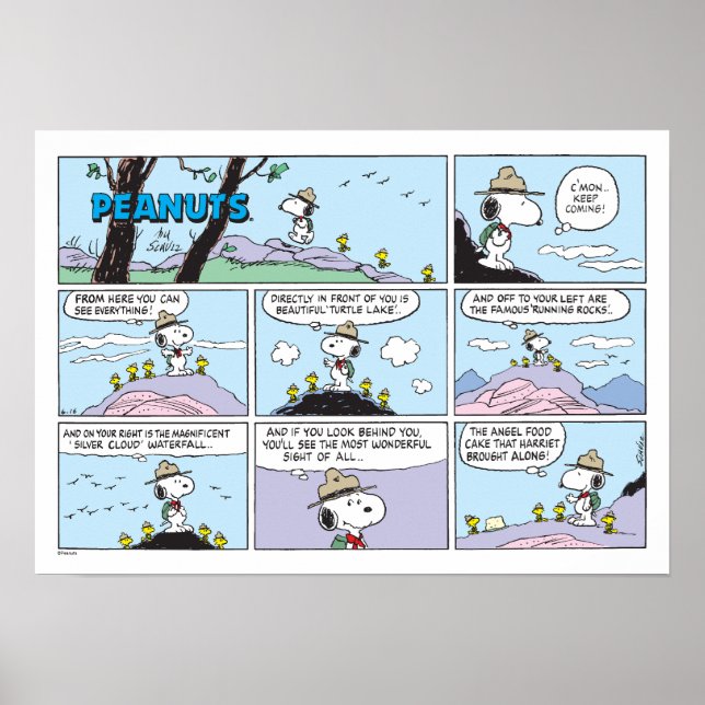 Poster Snoopy e Amigos | Ir Caminhando (Frente)