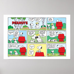 Poster Snoopy e seus irmãos Andy e Olaf