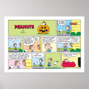 Poster Snoopy & Linus   O Excelente Pumpkin News