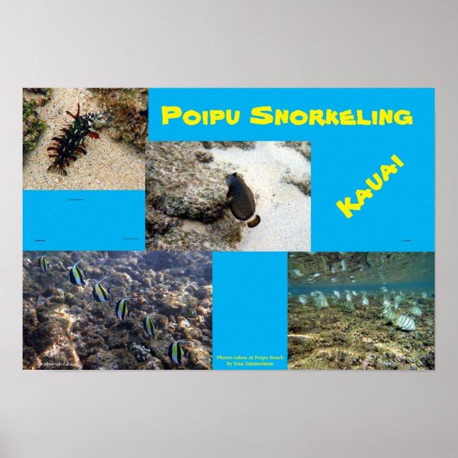 Poster Snorkel Poipu (Frente)