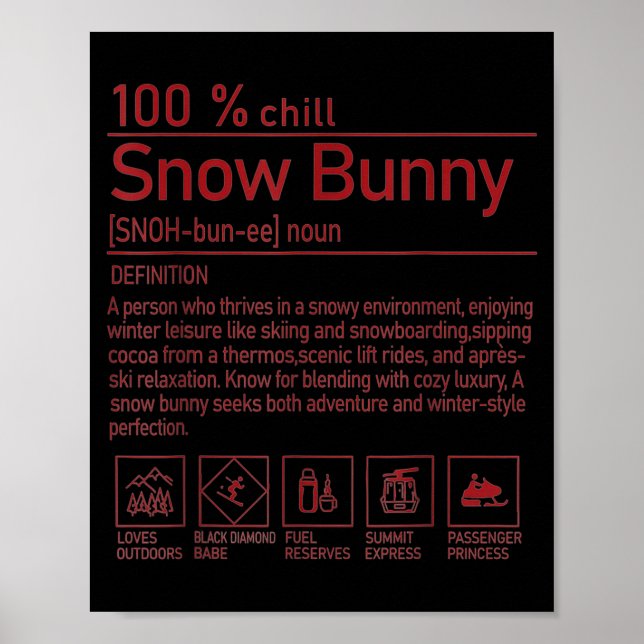 Poster Snow Bunny Definition Funny Trendy Winter Skiing C (Frente)