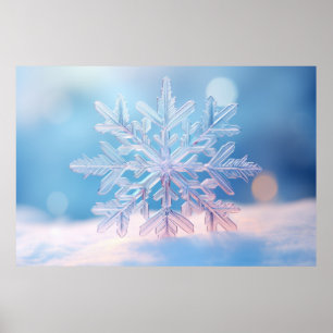 Poster Snow Flake Nature Serene Tranquil Peace