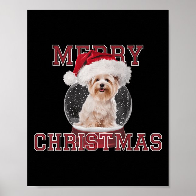 Poster Snow Globe Xmas Maltês Natal (Frente)