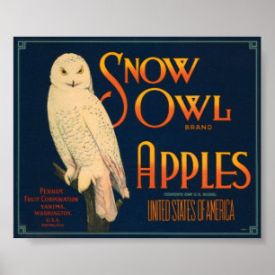 Poster Snow Owl Brand Apples Vintage Crate Label