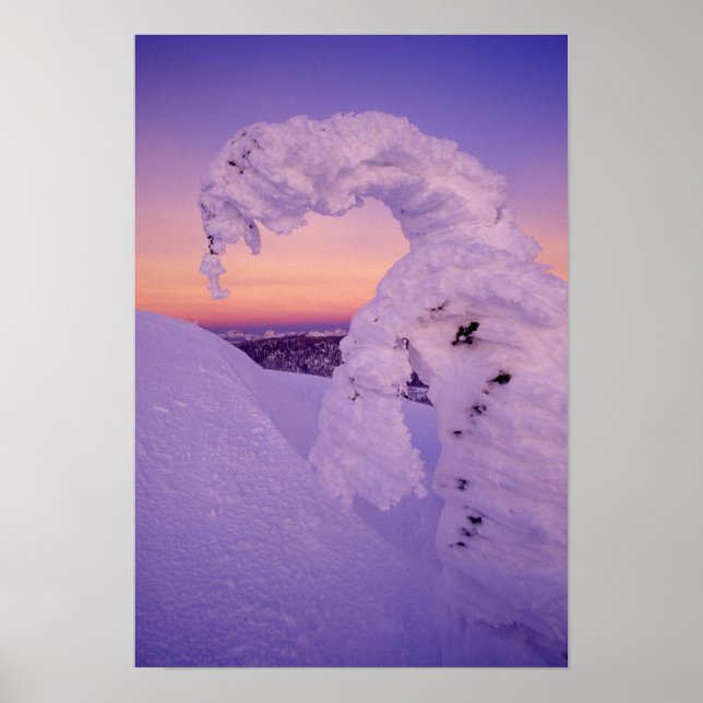 Poster Snowghost no Whitefish Range em Twilight (Frente)