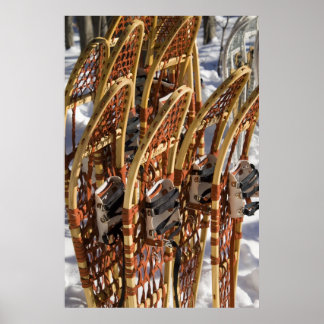 Pôster Snowshoe Clinic