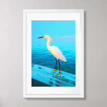 Snowy Egret em azul