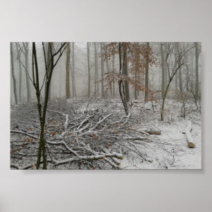 Pôster Snowy inverno Forest