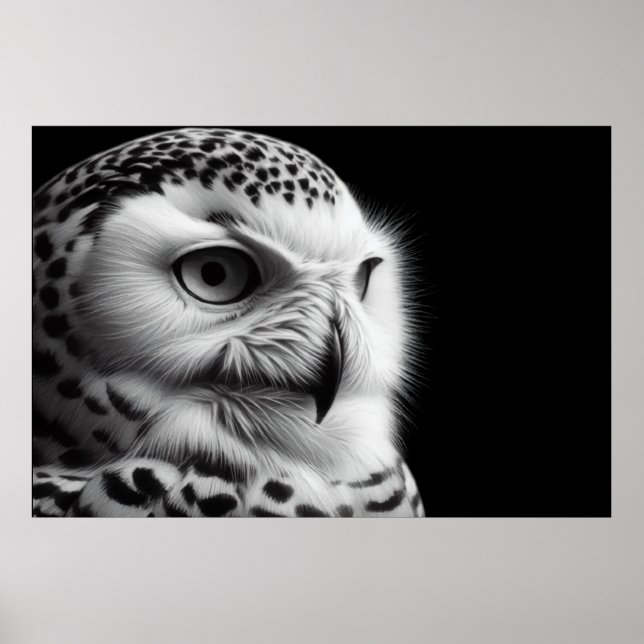 Poster Snowy Owl em preto-e-branco (Frente)