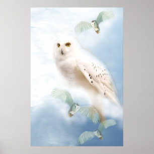 Pôster Snowy Owl na canvas