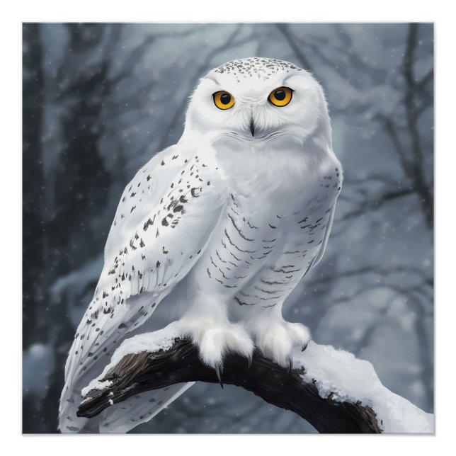 Pôster Snowy Owl Poster (Frente)