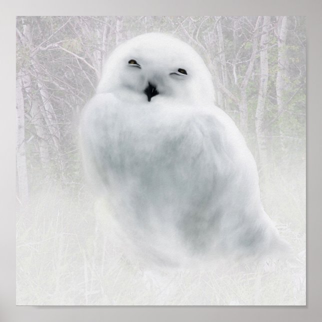 Pôster Snowy Owlet (Frente)