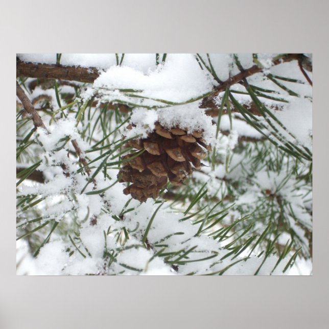 Pôster Snowy Pine Cone I Winter Nature Photoshop (Frente)