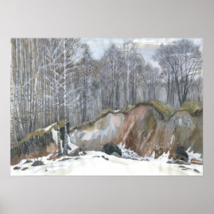 Pôster Snowy ravine