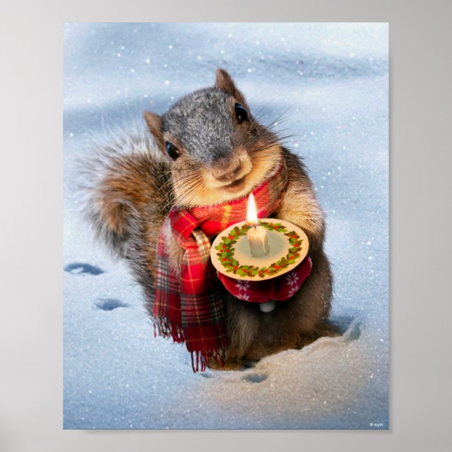 Poster Snowy Squirrel segurando a vela (Frente)