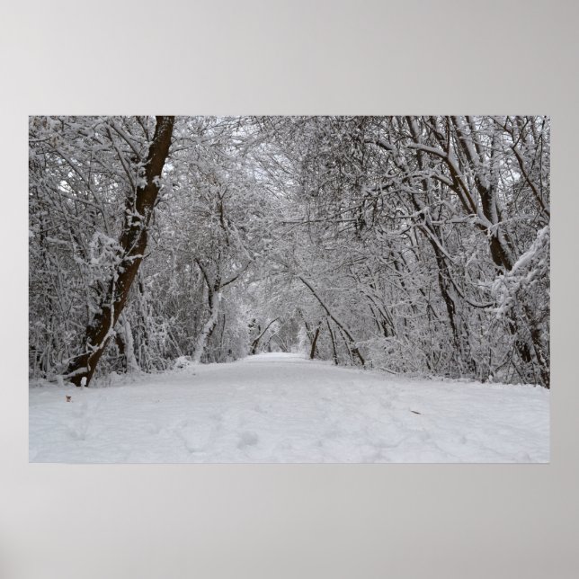 Pôster Snowy Trail (Frente)