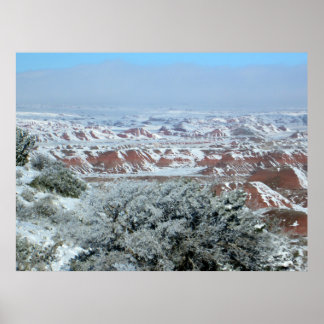 Poster Snowy Vista de Floresta Petrificada