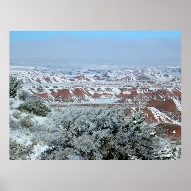 Poster Snowy Vista de Floresta Petrificada (Frente)