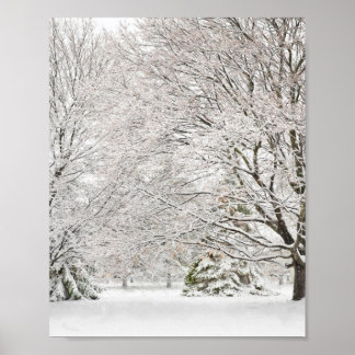 Poster Snowy Winter Forest
