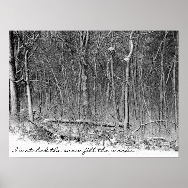 Poster Snowy Woods (Frente)