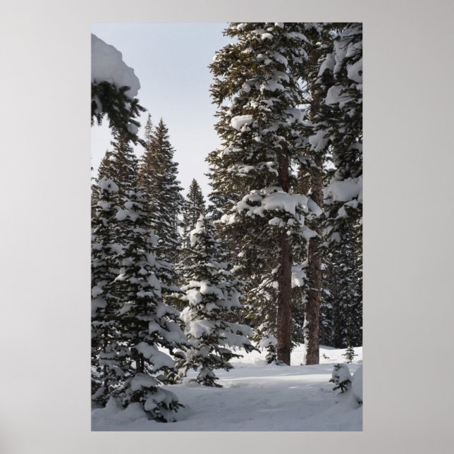 Pôster Snowy Woods (Frente)