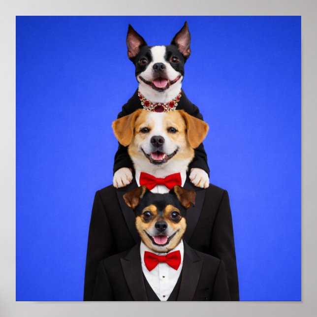 Poster "So Happy Together" (Frente)