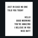 Poster Só No Caso De Ninguém Te Dizer Hoje Olá Bom Dia<br><div class="desc">No caso de ninguém te ter dito hoje Olá Bom dia, és espantoso, acredito em ti, Bumbum mínimo.</div>