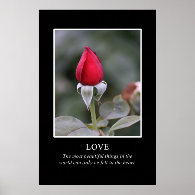 Pôster Só o coração sabe a verdadeira beleza (Frente)