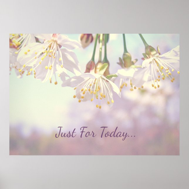 Pôster Só por hoje... (Frente)