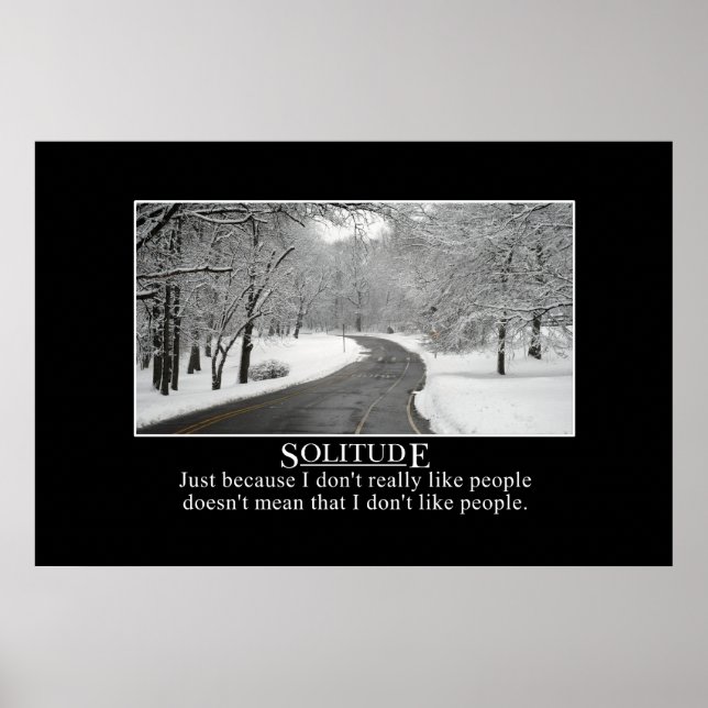 Poster Só porque eu não gosto de pessoas não significa [X (Frente)