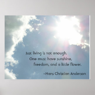 Pôster Só viver não é suficiente.