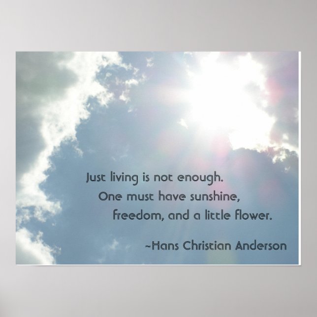 Pôster Só viver não é suficiente. (Frente)