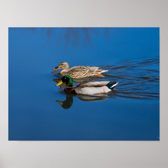 Poster Só Você E Eu (Frente)