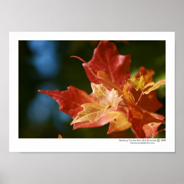 Pôster Soando o Sol (Frente)