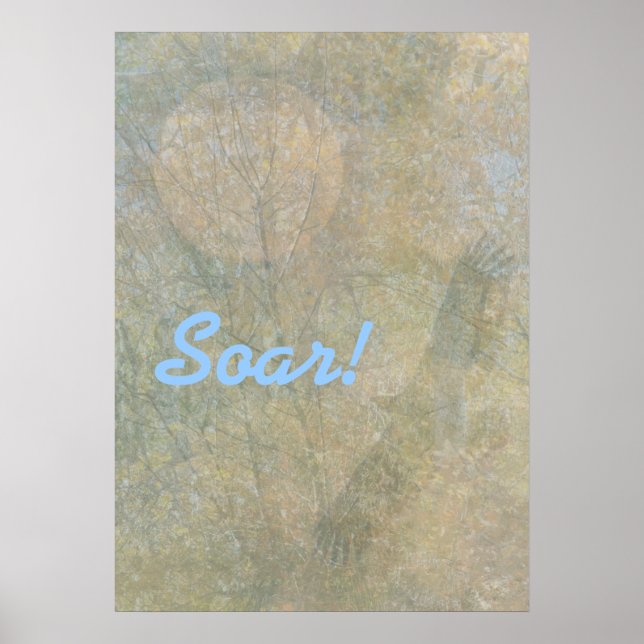 Poster Soar! (Frente)