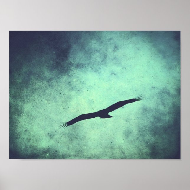 Pôster Soar (Frente)