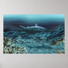 Pôster Sob a água 1