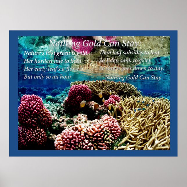 Pôster Sob Água (Frente)