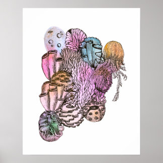 Poster Sob o Mar 01