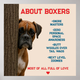 Poster Sobre Boxers Engraçados e Adoráveis Boxer Dog Desi