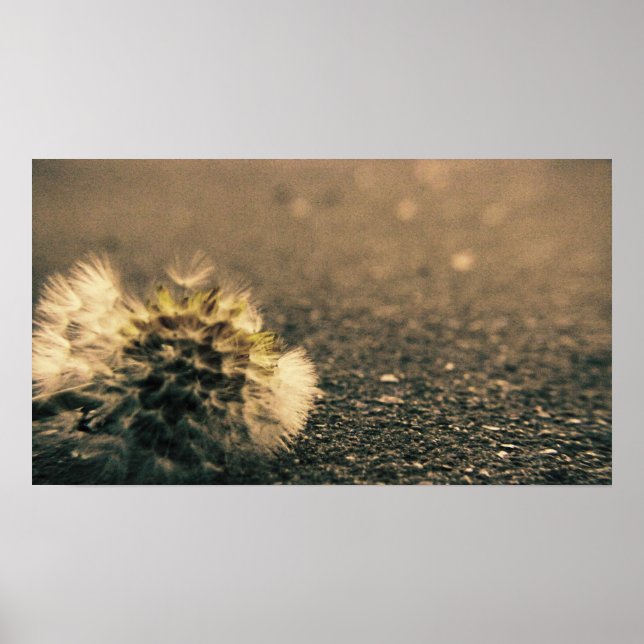 Poster Sobreposto (Frente)