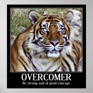 Poster Sobretaxa_