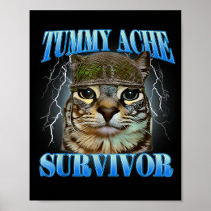 Poster Sobrevivente de Dor de Barriga Meme de Gato Bobo F
