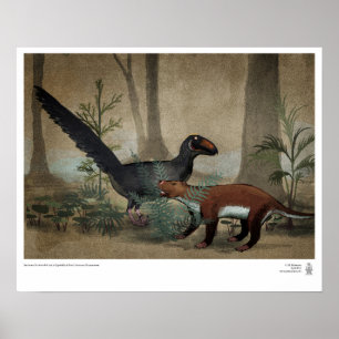 Pôster Sobreviventes: Pantolambda e Dinossauro Posto-Cret