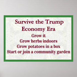Poster Sobreviver à Economia de Trump Cresça