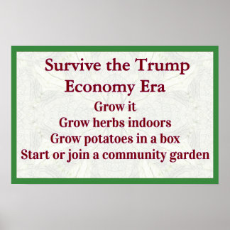 Poster Sobreviver à Economia de Trump Cresça