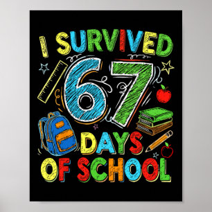 Poster Sobrevivi 67 Dias De Escola Professor Aluno Engraç