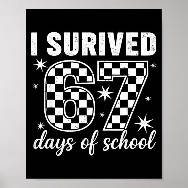 Poster Sobrevivi 67 Dias De Professores Alunos Da Escola (Frente)